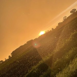 Meet your Posher, Elisabeth